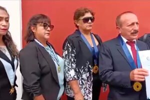 CPPe_new_accion_insconstitucional